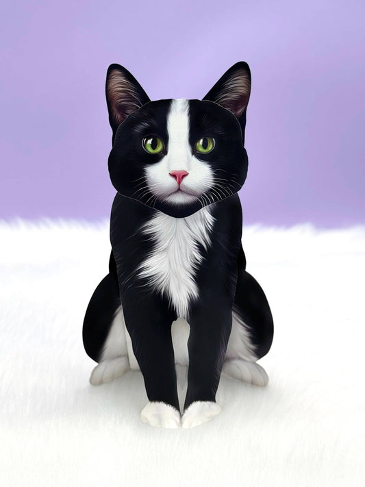 Tuxedo Cat