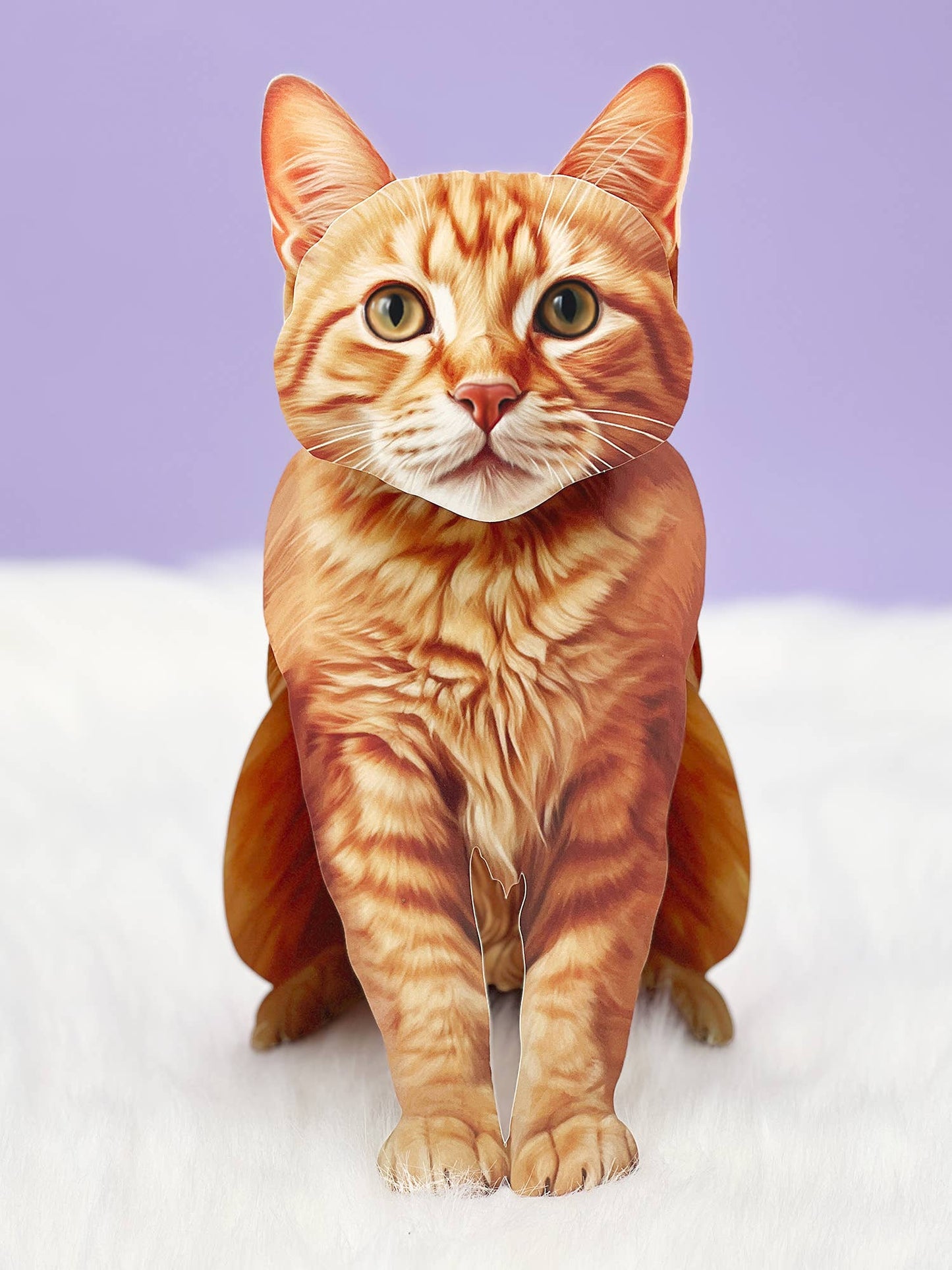 Orange Tabby