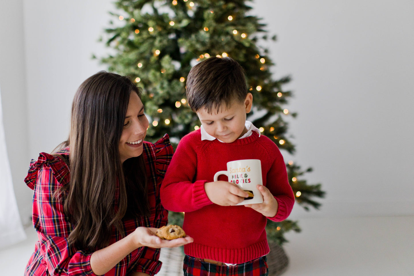 Santa’s Milk & Cookies Mug, Christmas Mug