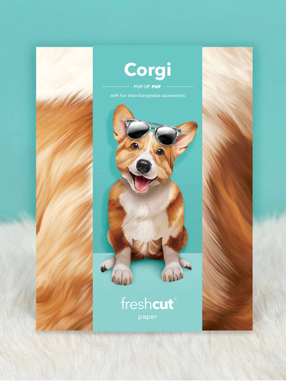Corgi