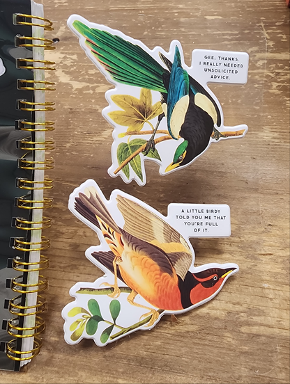 Brass Monkey Salty Birds Sticker Book