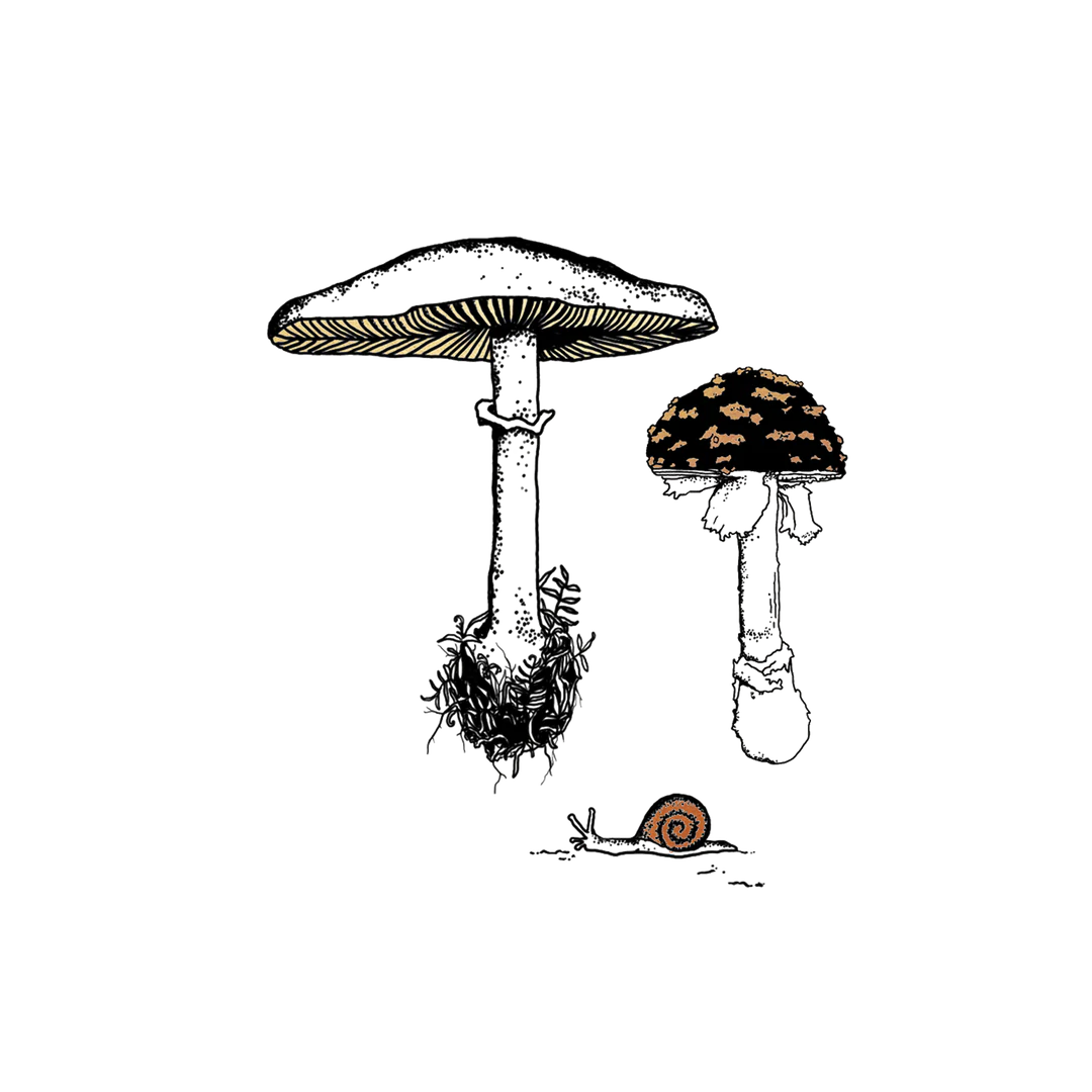 Fungi Garden Trio Tattoo Pair