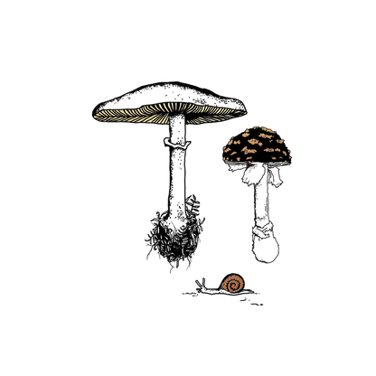 Fungi Garden Trio Tattoo Pair