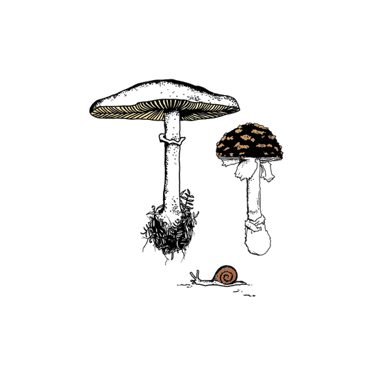 Fungi Garden Trio Tattoo Pair