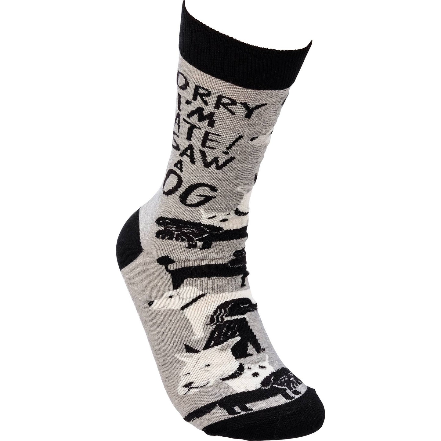 Sorry I'm Late I Saw A Dog Socks