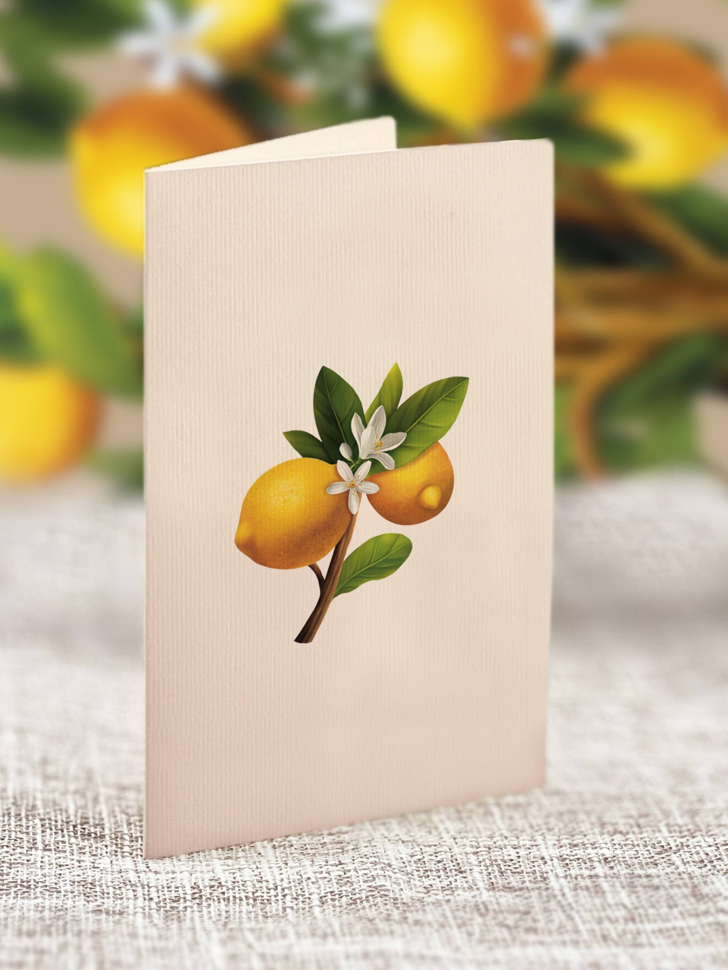 Mini Lemon Blossom Tree