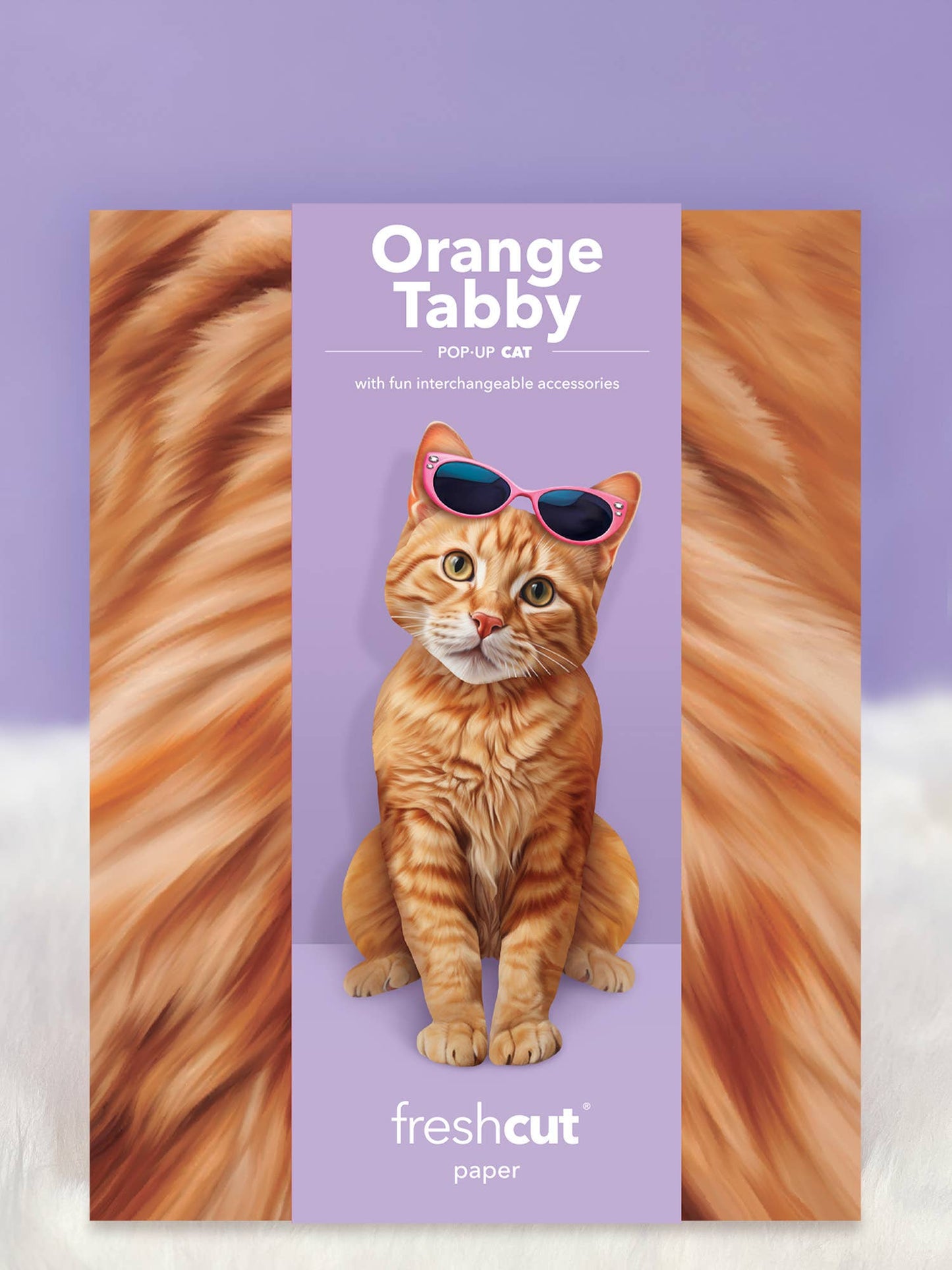 Orange Tabby