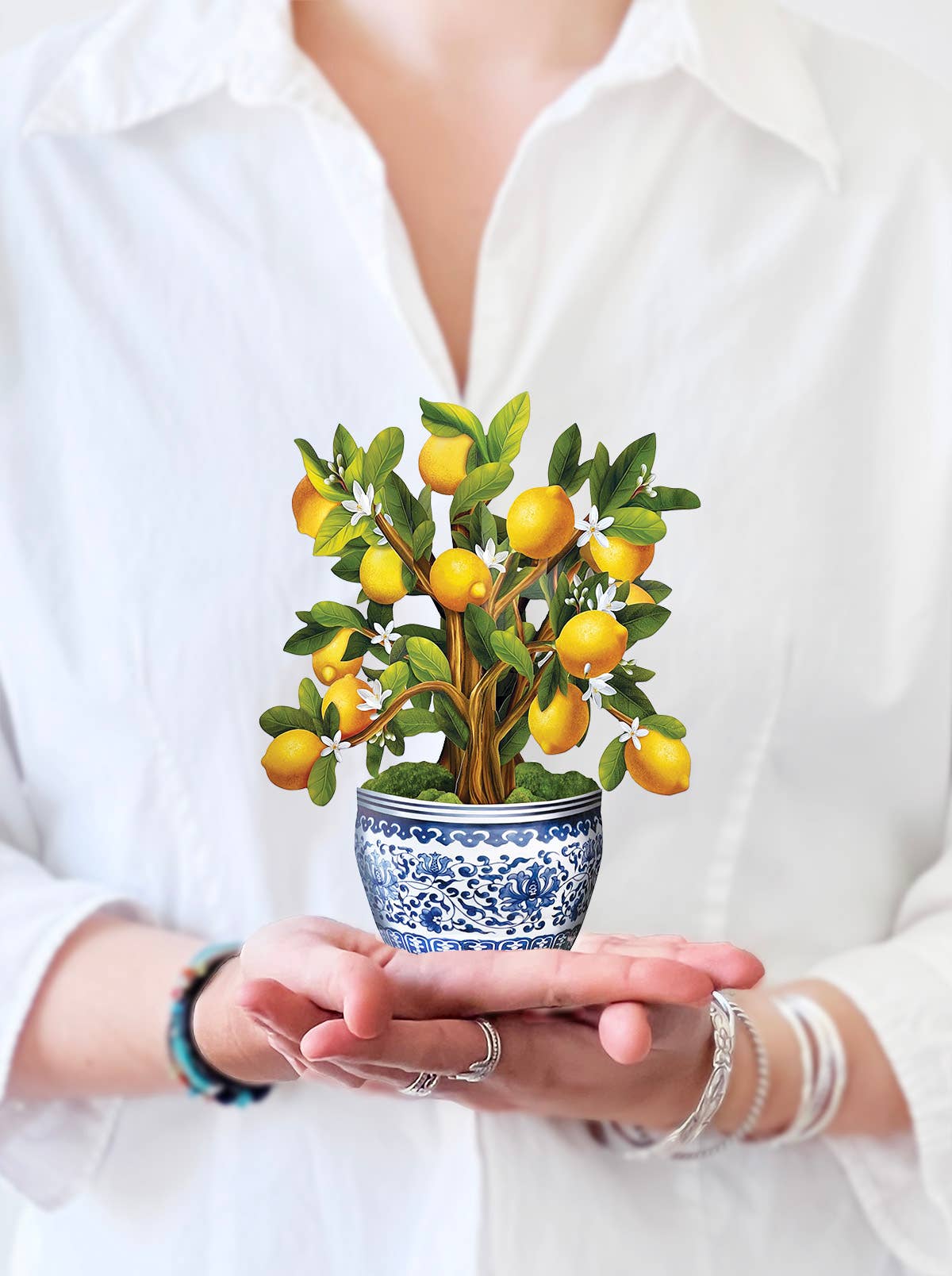 Mini Lemon Blossom Tree