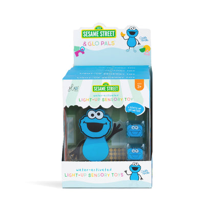 Cookie Monster - Sesame Street Character