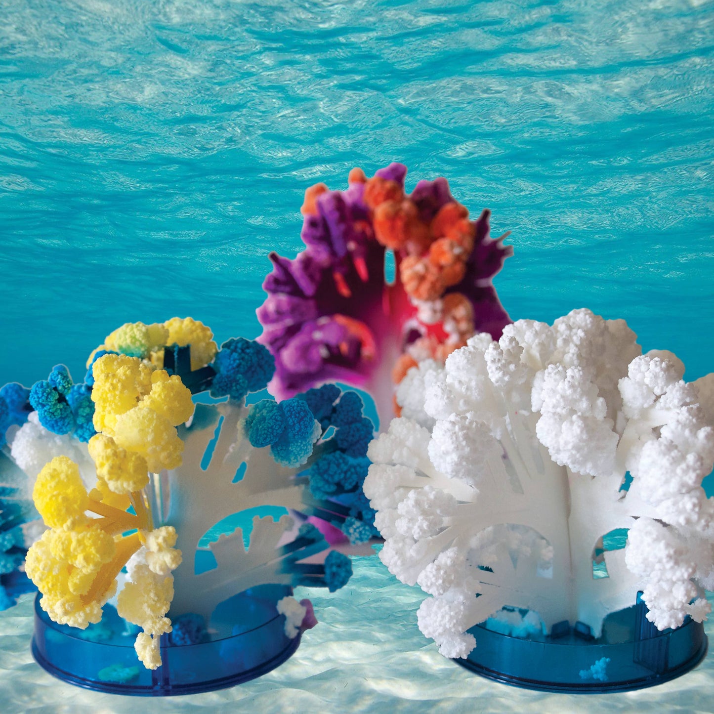 Crystal Growing Coral Reef